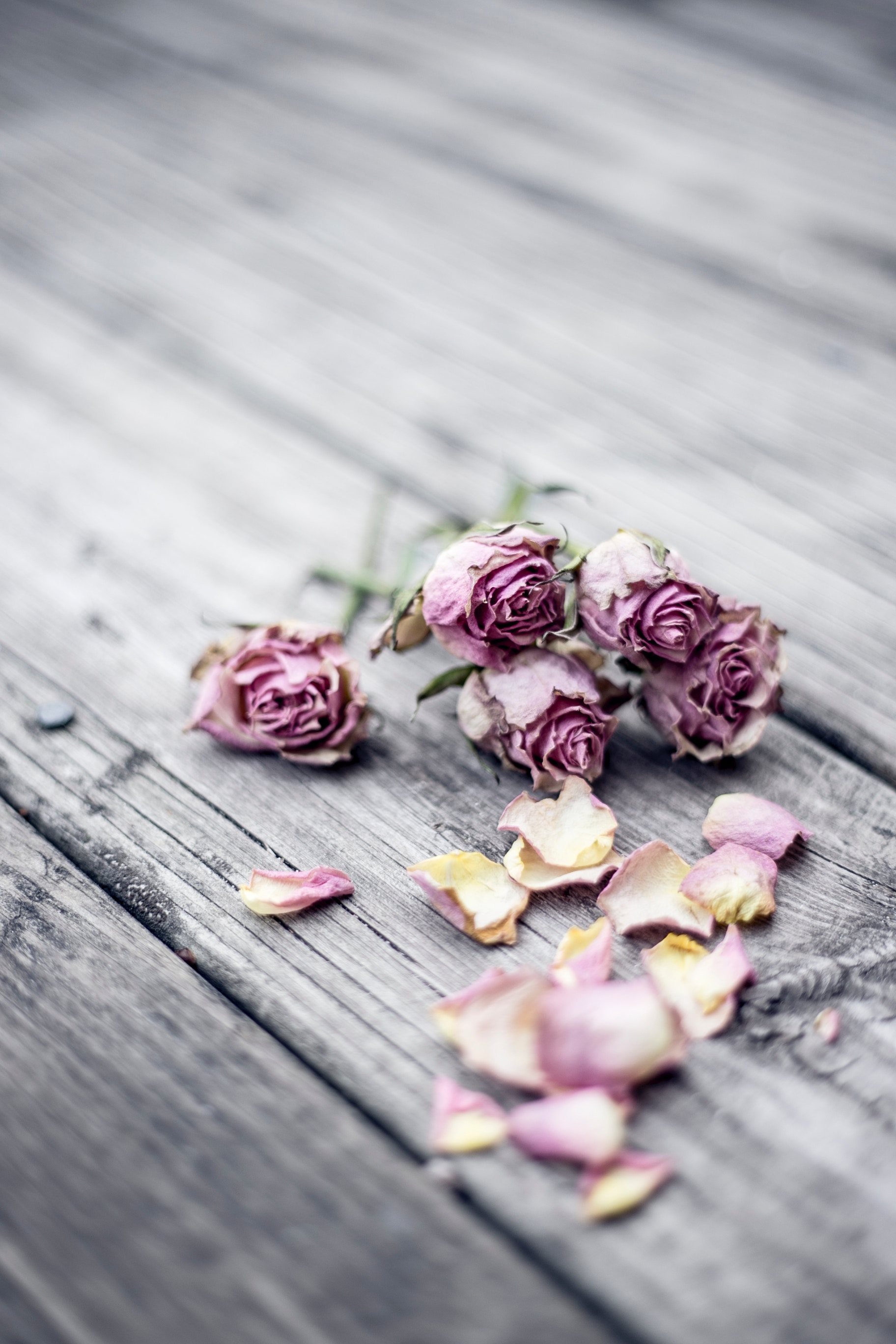 Grief – It’s Challenging!