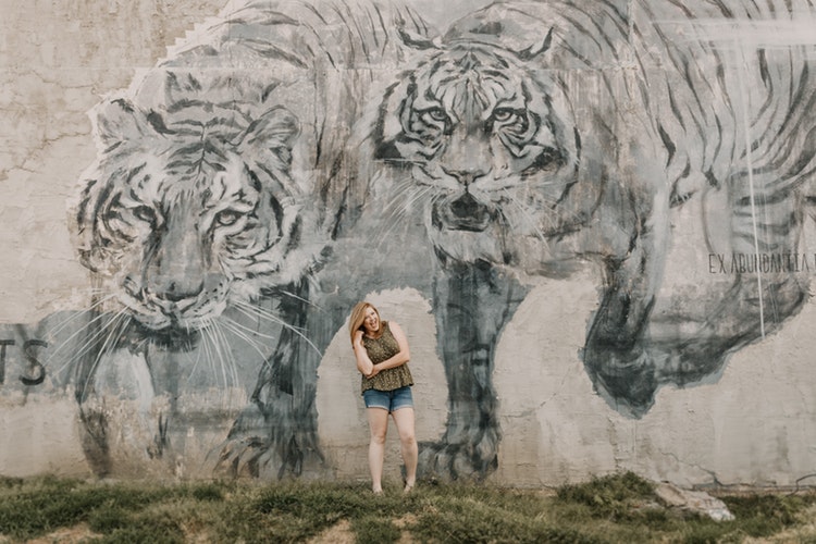 Book Review: Waking The Tiger – Healing Trauma by Peter Levine