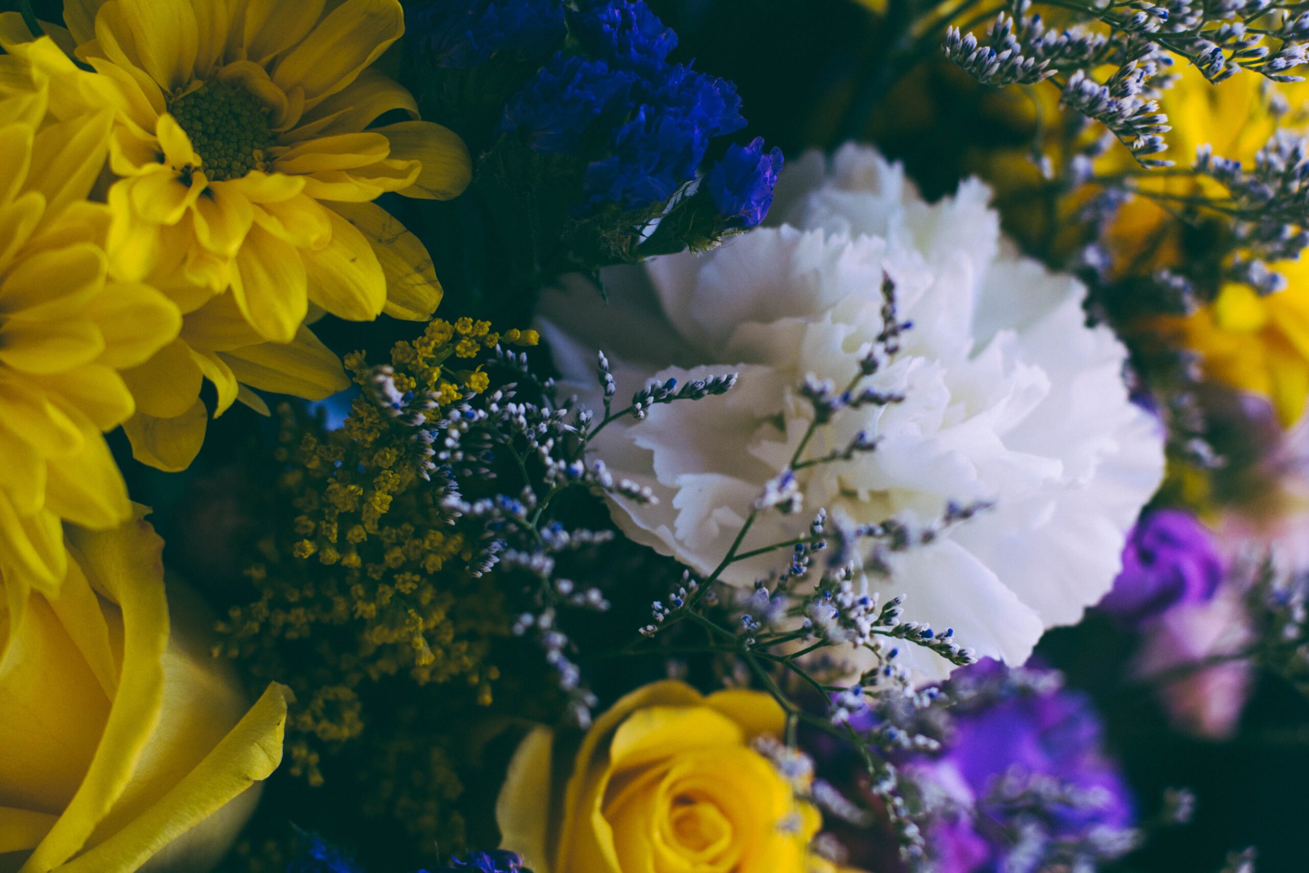 Coping With Grief – Ideas and Advice