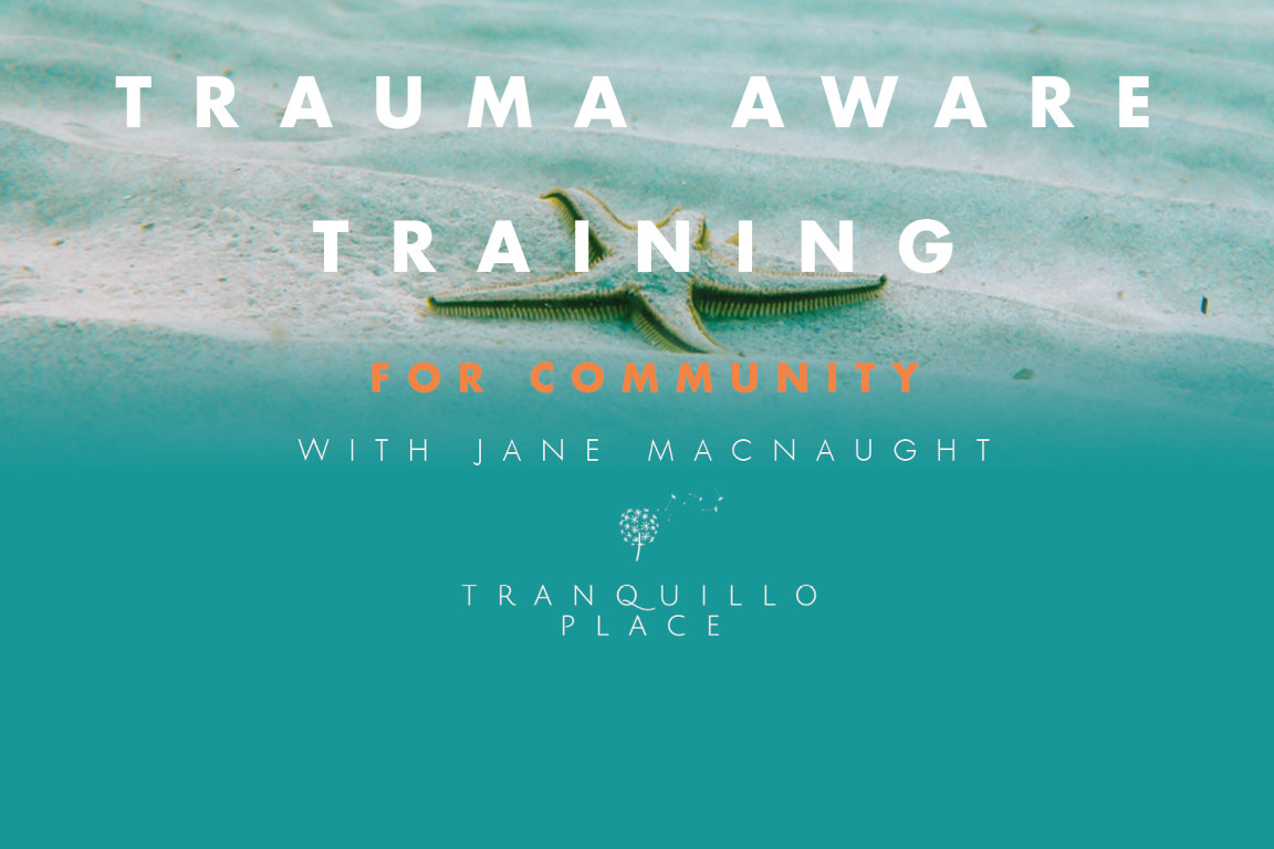 Trauma Aware Training for Community